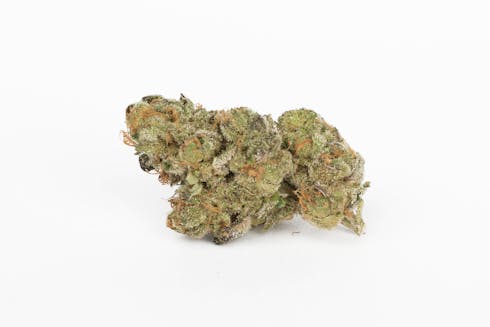 Nuclear Cookies