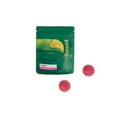 Pink Pomegranante | Gummies 100mg (10ct)
