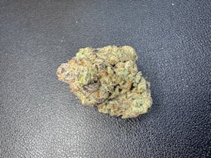 Hard Candy Indoor A-Flower