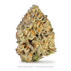 Koru Cannabis - La Rosa