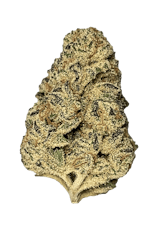 Black Maple x Strawberry Guava - The Local