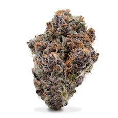 Frost Factory - Trop Cherry