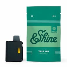 Secret Paris | Disposable | 2g