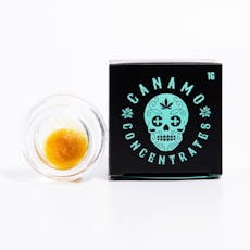 CANAMO - SAUCE - 1G - GASTRO FUNK - INDICA-HYBRID