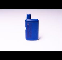 STAYME7O x HOLIDAY | GARDEN GRAPE | AIO VAPE | 1G