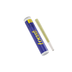 Toast | Purple Reign | 1g