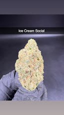 Ice Cream Social - Flower - Indica
