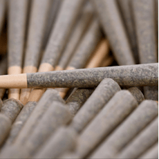 Flora Farms | 3pk 1.25g Infused Pre-Roll | Slurricane