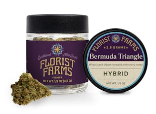 Florist Farms - Flower - Bermuda Triangle (H) - 7g