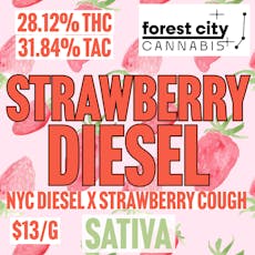 Forest City | BULK | Strawberry Diesel