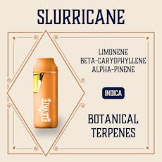 Slurricane Botanical Min-E-Bar Vape (1g)