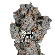 Curio Wellness: Exclusive | Kush Mintz | 3.5g
