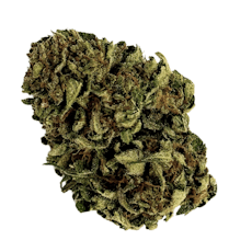 Glue 31 | Flower Bar