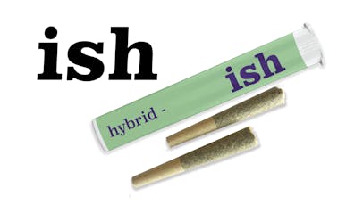 Black Maple Pre-Roll | 0.5g x 2pk
