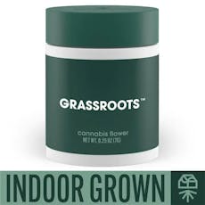 Grassroots Indoor Whole Flower Jar 7g - Golden Sands