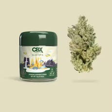 Cannabiotix | Gluetopia - 3.5g Flower
