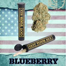 Blueberry Infused Preroll 1.15g