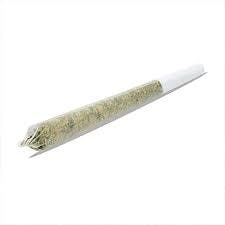 Rainbow Sherbert #11 Pre-Rolls (2 x 0.5g) 1g
