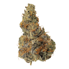 Space Cake Flower by Giving Tree