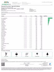Awssom Pre-Roll 1g Georgia Pie (H) - 00046