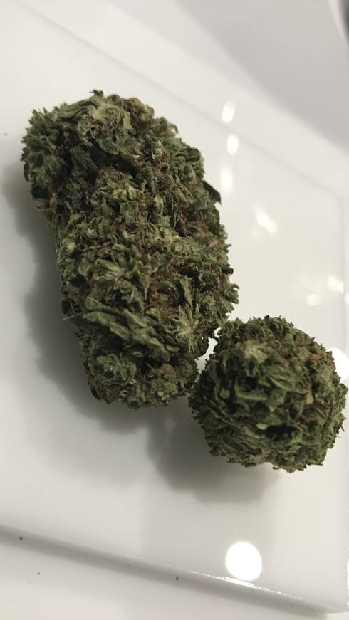 Elite Growing Company - Juicy Fruit BULK