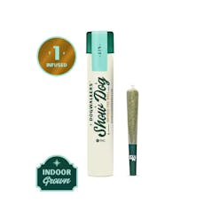 Dogwalkers - Big Dogs Infused 1g - Brownie Scout (Sit)