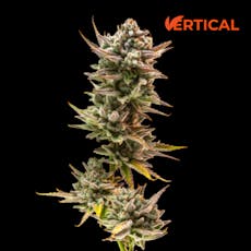 VERTICAL - BLUEBERRY CUPCAKE 0.5G 2PK HYBRID