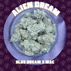 Oregon Roots - Alien Dreams - Mid Shelf Flower