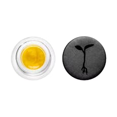LEMON SOUR DIESEL LIVE RESIN SAUCE