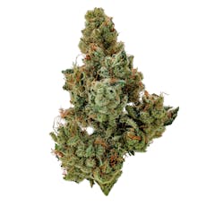Glass Meadows | Copper Chem | 3.5g