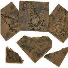 Maple Moonrocks - Indica- 1g Old School Hash