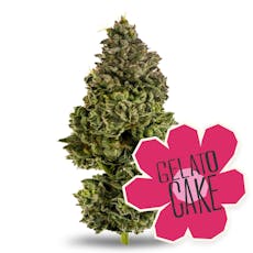 Gelato Cake - 3.5g - District Cannabis
