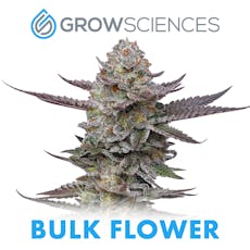 Grow Sciences Bulk Flower Pineapple Fruz