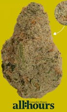 all:hours Nimbus Snacks Hash Nugs 41454