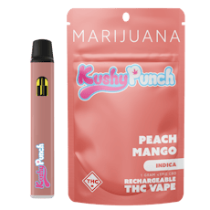 Kushy Punch: Vape | Peach Mango | All-In-One | 1g