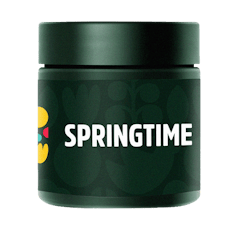 Springtime Prepack (1/8 oz) Gotti Beltz