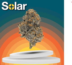 Flower 3.5g - Blue Andeze