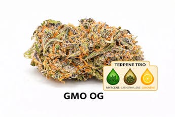 Flower: GMO OG 2