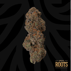 Cookie Hashplant | 3.5g