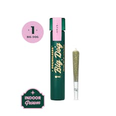 Dogwalkers | Runtz | Big Dog | 1g