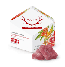 Wyld | Pomegranate | 1:1 CBD + Hybrid Enhanced Gummies | 10ct | 100mg