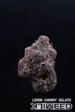 MILKWEED | LEMON CHERRY GELATO | FLOWER | 7G