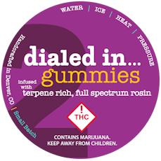 REC - Dialed In - Strawberry (Hybrid) / Gummmies | 100mg