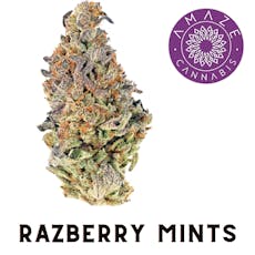Amaze: Flower | Razzberry Mints | 3.5g