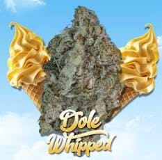 STONER VILLAGE DOLE WHIPPED #1 POPCORN 14G