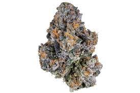 Gelato 41 $12 Gram