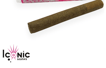 Iconic Blunts 1g - Stardawg(S)