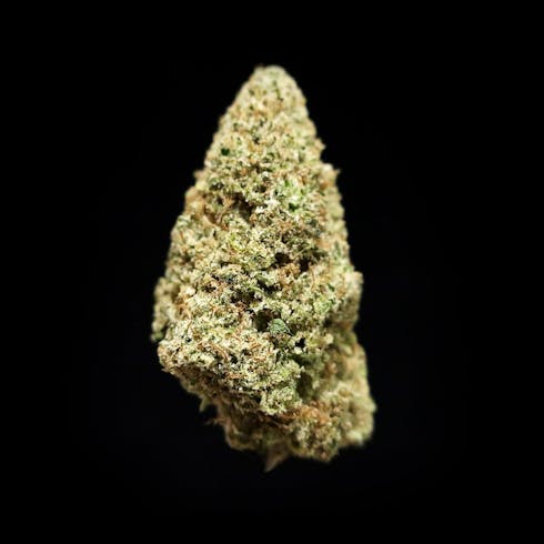 El Fuego - HMH