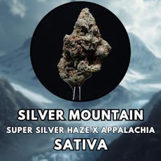 Flower - Silver Mountain - Top Shelf