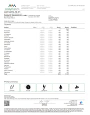 PR Pre-Roll 1g (00529)